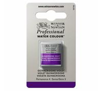 Colore A Mezza Tavoletta Di Acquerello Professionale Winsor & Newton