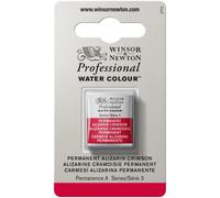 Colore A Mezza Tavoletta Di Acquerello Professionale Winsor & Newton
