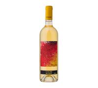 Colore Bianco Toscana IGT 2022 - Bibi Graetz 0.75 lt