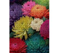 Colore Dalia Puzzle 1000 Pezzi, 3D Puzzle per Adulti Impegnativo, Educa Puzzles Artistico, Divertente E Stimolante Puzzles Decorativo per La Famiglia, Regalo e Decorazione Pareti FNKL6-90