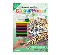Colore matita numero Kit piscina di 8-3/4 "X 11-3/4"-Jaguar