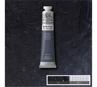 Winsor & Newton Winton 1437465 - Colore a olio da 200 ml, colore: Grigio Payne