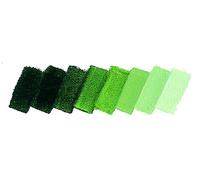 Colore Olio Mussini Ml35 Serie 2 526-Verde Bosco