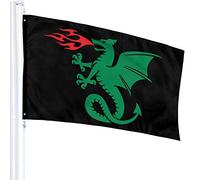 Colore verde Dragon Breathing Fire Flag 3x5 Ft Outdoor Double Sided 100% poliestere Duty Bandiere durevoli con foro preimpostato per decorazioni natalizie per l'home office e il giardino