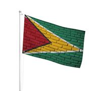 Colore Vivido Bandiera Da Giardino 90X150Cm Guyanese On Wall Bandiera Da Dell'Individualità Resistente Ai Raggi Uv Bandiera Da Personalizzata Per La Fattoria All'Aperto, Barca, Feste