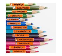 Colorfamily Etichette adesive personalizzate con nome per matite, penne, libri quaderni, scuola, asilo, elementari. Set da 100 pezzi, dimensioni 4,6 x 0,8 cm