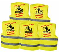 Colorfamily Pacchetto Gilet Addio al Celibato PERSONALIZZABILI: Sposo, Testimone, Complice e Staff dello Sposo - S/M, L/XL, XXL.