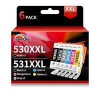 colorfly 530XXL 531XXL Cartucce d'inchiostro compatibili per Canon PGI-530XXL CLI-531XXL Compatibili con stampante Canon TS8750 TS8751 (Grigio PGBK Nero Ciano Magenta Giallo, confezione da 6)