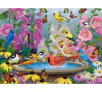 Colorful Birds Jigsaws - Poster Artistici Da Parete - Puzzle Per Adulti E Adolescenti - Giochi Per Ridurre Lo Stress In Famiglia - 1000 Pezzi Puzzle Gifts - Kw519Zk