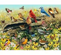 Colorful Birds Jigsaws - Poster Artistici Da Parete - Puzzle Per Adulti E Adolescenti - Giochi Per Ridurre Lo Stress In Famiglia - 1000 Pezzi Puzzle Gifts - Kw517Zk