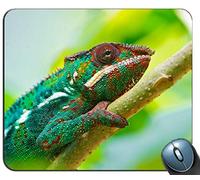 colorful chameleon Mouse pad rettangolo personalizzato, gomma antiscivolo stampata Tappetino per mouse mouse pad con tastiera personalizzata