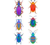 Colorful Insect Weekly Planner - Bright Beetle & Bug Illustrations on White Cover - 52 pages, 6x9 inches: 52-Week Organizer with Colorful Insects - ... Nature Lovers, Students, Professionals, Gifts