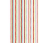Colorful Striped Lined Notebook: 6x9" College Ruled Notebook with Hand-drawn Stripes in a Rainbow of Colors