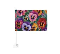 Colorful Viole Della Bandiera Auto Finestra Esterna Clip 30x45 Cm Doppio Lato Decorazione Auto