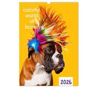 colorful world of boxer 2026 (Wandkalender 2026 DIN A3 hoch), CALVENDO Monatskalender: Jahreskalender 2015 Boxer