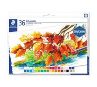 Colori a Cera Staedtler Design Journey 36 Pezzi Multicolore