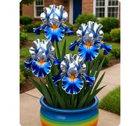 Colori tenui e naturali valorizzano il giardino in primavera e in estate.-15Bulbi-E