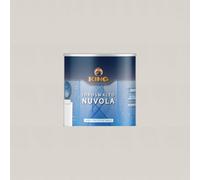 COLORIFICIO PARTENOPEO King NUVOLA, Smalto Acrilico all'acqua specifico per Termosifoni, finitura Brillante o Opaca e protezione dei Radiatori ad acqua (K127 TERMO OPACO, 100ml)