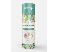 ColorMaps Paint-by-Number Relaxing Garden: Everything You Need to Create 3 Beautiful Paintings: 3 Colored-Line Canvases, 12 Acrylic Paint Pots, 1 ... and Instruction Leaflet Included!