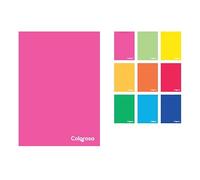 colorosa 10 Quaderni Scolastici Colors A4 - Carta FSC 80g, 9 Colori Fluo, Confezione 10pz Elementari (Rig 1CM - Quadretti 1 cm)