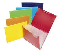 Colorosa - 361006 - Cartella espandibile - PPL - colori assortiti - 12 scomparti A4 - Colorosa - 89354 - Conf. da 1 Pz. - 361006