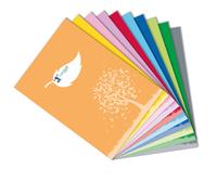 Colorosa - 3671CG28.FSC - Coprimaxi Green - c-tasche - 21 x 30 cm - carta 120 gr - arancio - Colorosa - 93878 - Conf. da 30 Pz. - 3671CG28.FSC