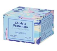 Colors Candela Profumata Nautilus in Cera Vegetale 1 pz Altro