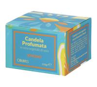 Colors Candela Profumata Vincent in Cera Vegetale 1 pz Altro