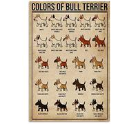 Colors of Bull Terrier, cartello in metallo decorativo da parete, poster da 20 x 30 cm