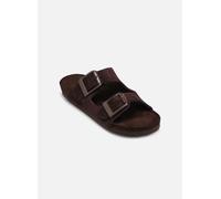 Colors of California Slofi - ciabatte - donna Brown 36