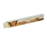 Colostok - frusta erotica - pelle