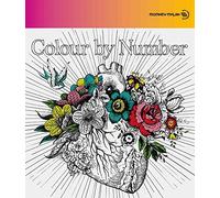 COLOUR BY NUMBER - MONKEY MAJI