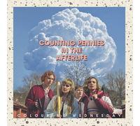 Colour Me Wednesday - Counting Pennies In The