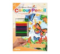 Colour Pencil By Number Kit 8-3/4"X11-3/4"-Butterflies