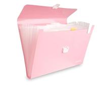 Colourbook Cartella Portadocumenti Espandibile A4 13 Scomparti Orchid Rose, Organizer Documenti Con Chiusura A Scatto, Faldone A Fisarmonica Impermeabile Con Etichette, Per Ufficio Scuola Casa