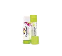Colourbook - Colla Stick PVP Ad Alta Adesività, Ideale per Scuola e Ufficio, Atossica e Senza Solventi, Lavabile con Acqua Calda, Per Carta, Cartone, Foto e Tessuto, 20 g