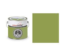 Colourcourage Premium L719778608 - Pittura da parete, 2,5 l, colore: Verde