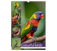 Colourful birds (Wall Calendar 2026 DIN A3 portrait), CALVENDO 12 Month Wall Calendar: The most beautiful birds in the world