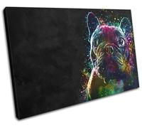 Colourful Cute French Bulldog Animals SINGLE TELA parete arte foto stampa