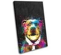Colourful Cute Staffy Dog Animals SINGLE TELA parete arte foto stampa
