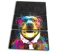 Colourful Cute Staffy Dog Animals TREBLE TELA parete arte foto stampa
