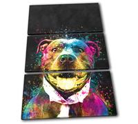 Colourful Cute Staffy Dog Animals TREBLE TELA parete arte foto stampa