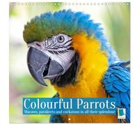 Colourful Parrots (Wall Calendar 2026 12" x 24" / 30 x 60 cm (open)) CALVENDO 12 Month Wall Calendar