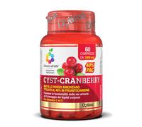 COLOURS OF LIFE CYST-CRANBERRY CON VITAMINA C E 60 COMPRESSE 1000 MG