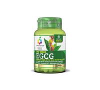 The Verde Egcg 60 Capsule