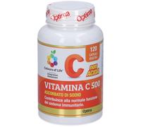 Colours of Life® Vitamina C 500 108 g Capsule