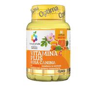 Colours of Life® Vitamina C Plus Rosa Canina Capsule 43,44 g Capsule