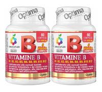 Colours of Life® Vitamine B Complex 2x60 g Compresse