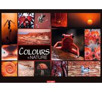 Colours of Nature Kalender 2026: Großer Foto-Wandkalender im Querformat 68 x 49 cm. Natur-Kalender 2026 mit harmonischen Bild- und Farbkompositionen für jeden Monat.