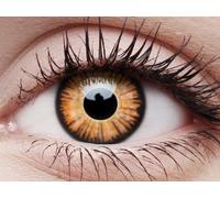 ColourVUE Crazy One-Day Twilight (2 pz)